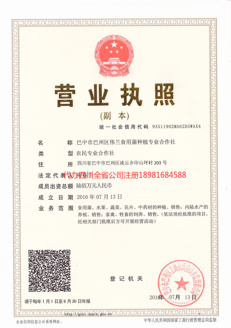 河间河间伟兰食用菌种植专业合作社